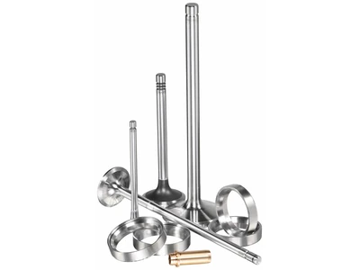 راهنمای جامع سوپاپ موتور | ساختار، علائم خرابی، نصب و نگه‌داری سوپاپ PGX